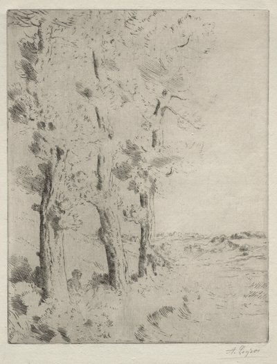 The Reader: The Lecture under the Trees by Alphonse Legros