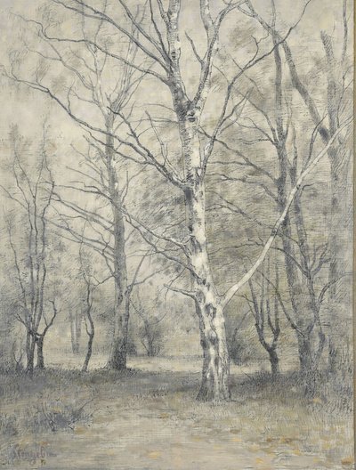 Forest with Birch Trees by Alphonse Stengelin