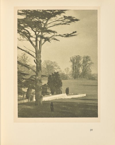 The Edge of the Garden by Alvin Langdon Coburn