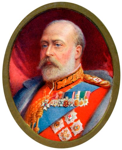 King Edward VII by Alyn Williams