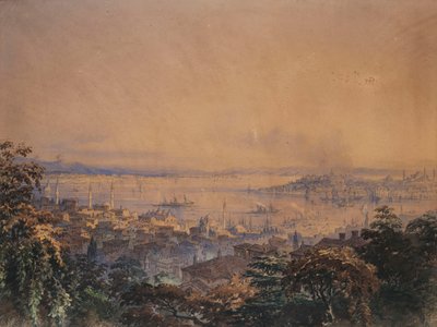 A View of Constantinople by Amadeo Preziosi