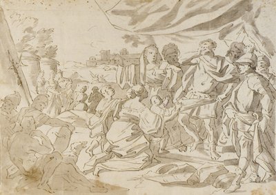 Drawing by Amalfi, Carlo