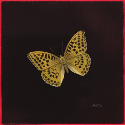 Silver Washed Fritillary Butterfly by Amelia Kleiser