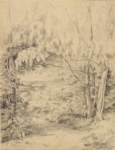 Bromley Hill by Amelia Long