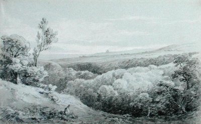 Whitby Abbey, from Mulgrave by Amelia Long