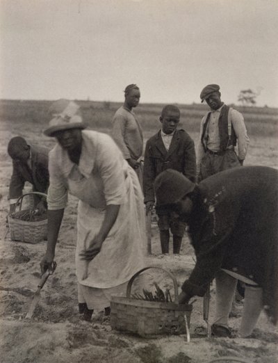 Field Work by American Photographer