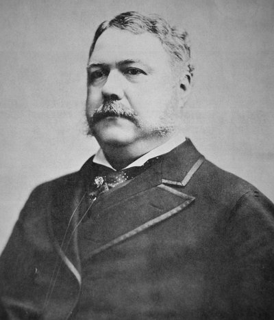 President Chester A. Arthur (1829-86) by American Photographer