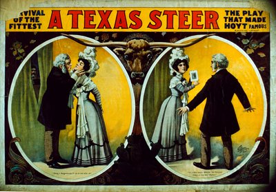 A Texas Steer by American School