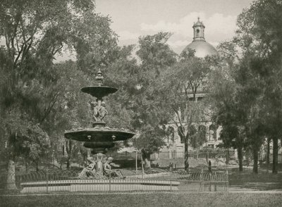 Boston Common by American School