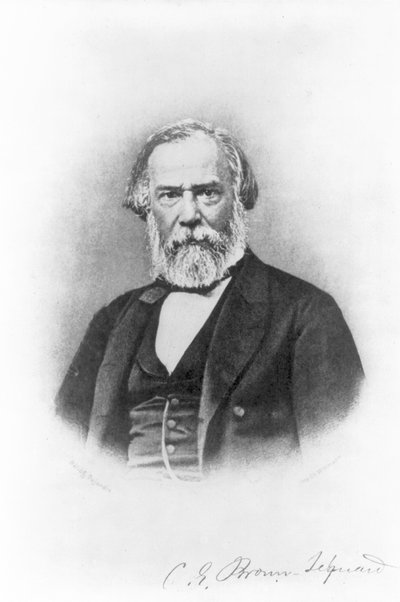 Charles Edouard Brown-Sequard, c.1880 by American School
