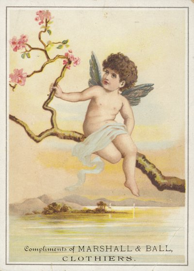 Cherub Seated on Branch over Water by American School