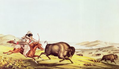 Hunting the Buffalo by American School