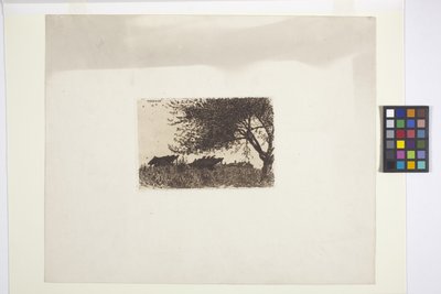 Landscape by American School