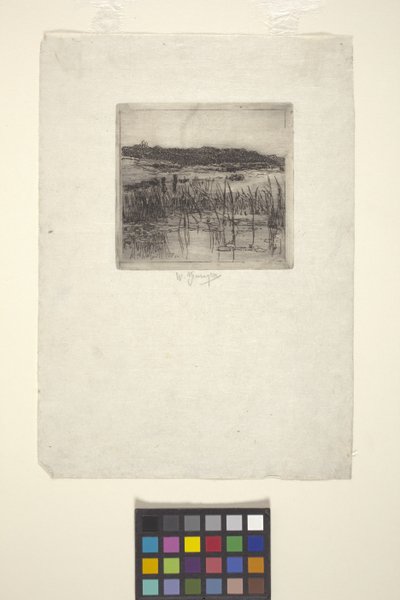 Marsh by American School