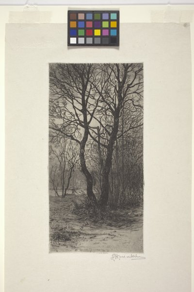 Nymphenburg Palace Garden, Near Munich by American School