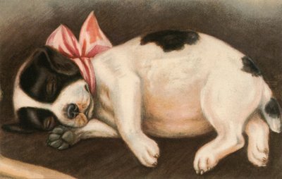 Sleeping Pointer Puppy Wearing a Pink Bow by American School