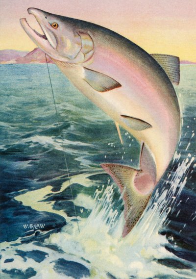Sport Fishing: Leaping King Salmon by American School