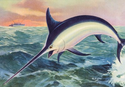 Sport Fishing: Leaping Swordfish by American School