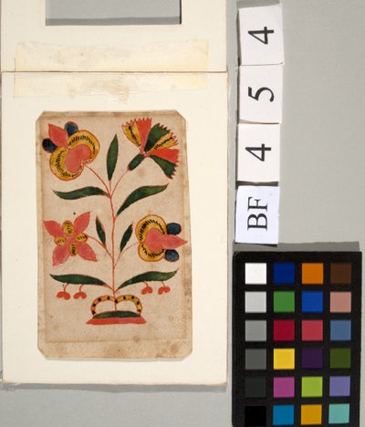 Study of flowers by American School