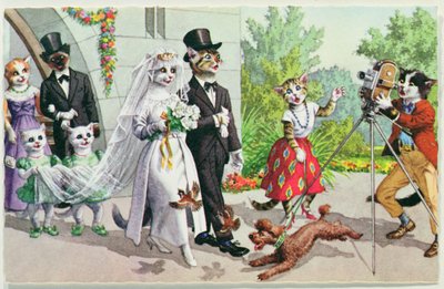 The Wedding by American School