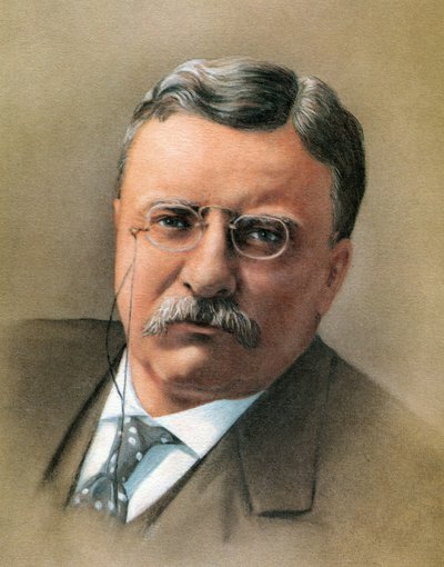 Theodore Roosevelt by American School