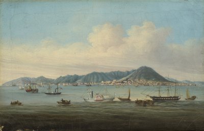 View of Hong Kong by American School