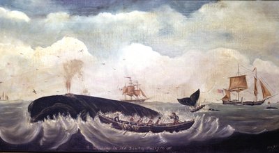Whaling in the South Pacific by American School