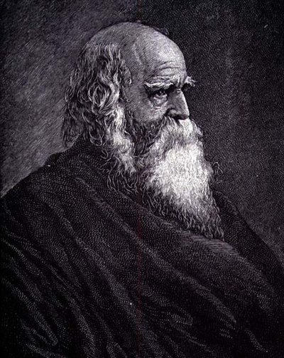 William Cullen Bryant by American School