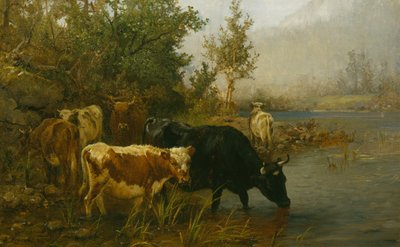 Cows by the Water by Anders Askevold