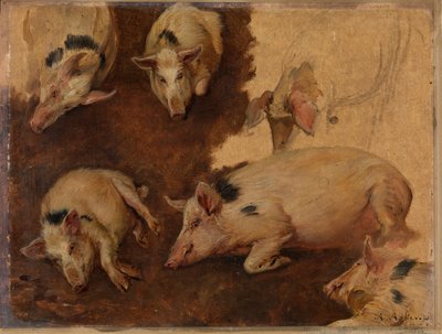 Study of Six Pigs by Anders Askevold