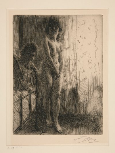 A Dark Corner by Anders Leonard Zorn