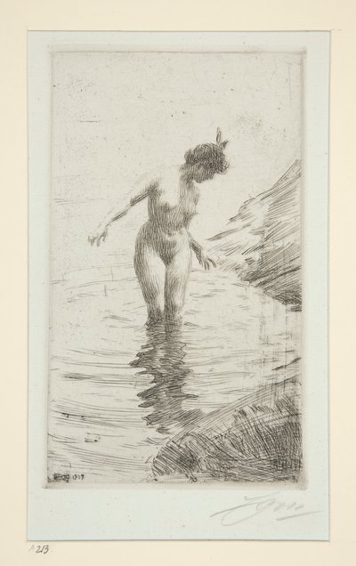 Circles by Anders Leonard Zorn