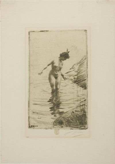 Water Circles II by Anders Zorn