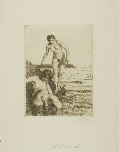 On Hemsö Island by Anders Leonard Zorn
