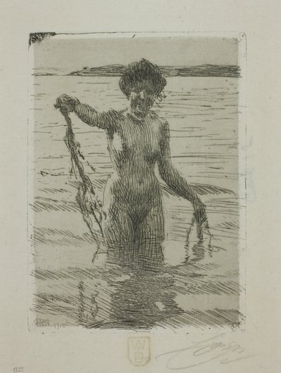 Seaweed by Anders Leonard Zorn