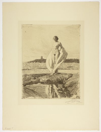 The Swan by Anders Leonard Zorn