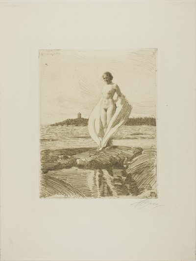 The Swan by Anders Leonard Zorn