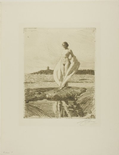 The Swan by Anders Leonard Zorn
