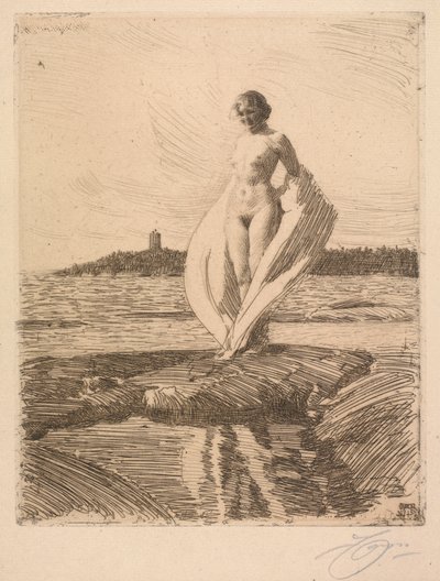 The Swan by Anders Leonard Zorn