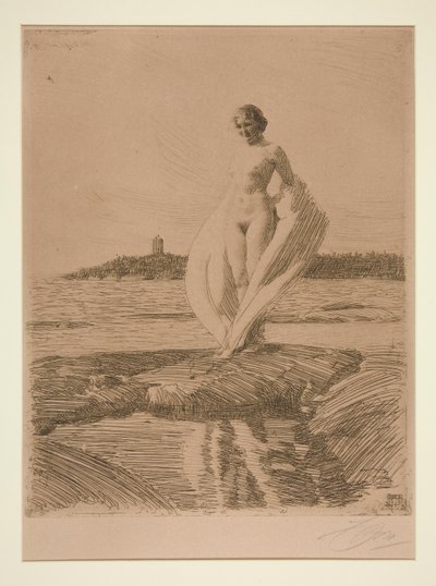 The Swan by Anders Leonard Zorn