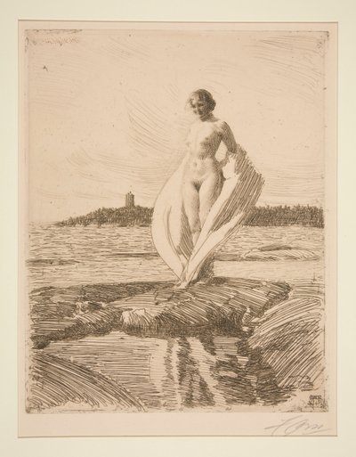 The Swan by Anders Leonard Zorn