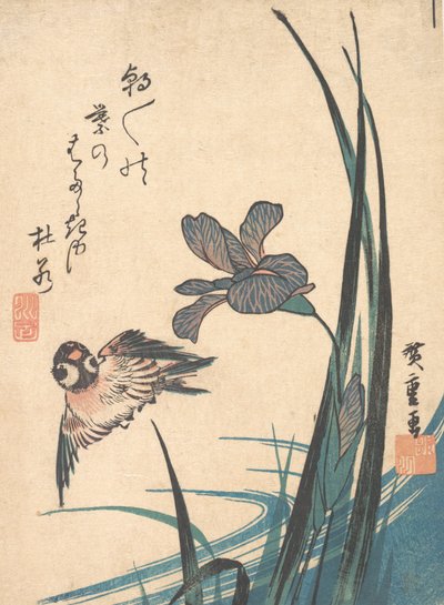 Iris and Sparrow by Ando Hiroshige