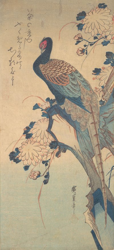 Pheasant with Chrysanthemums, ca. 1835 by Ando Hiroshige