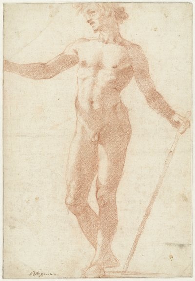 Standing Male Nude Model by Andrea Boscoli