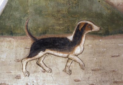 Atri, Cathedral, Dog / Fresco by A. Delitio by Andrea Delitio
