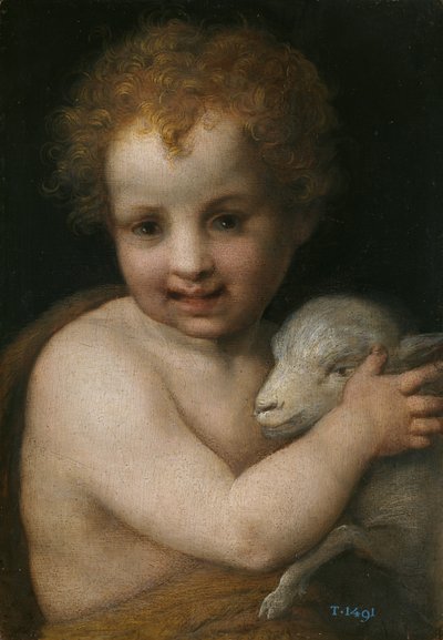 John the Baptist as child by Andrea del Sarto
