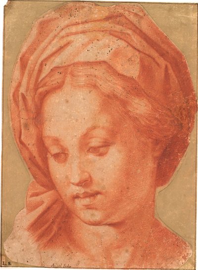 Madonna Borghese by Andrea del Sarto