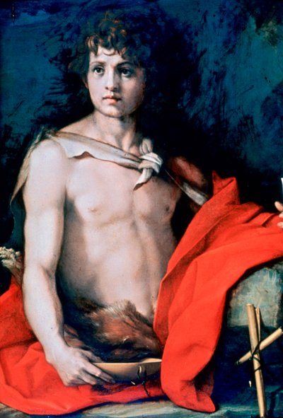St John the Baptist by Andrea del Sarto