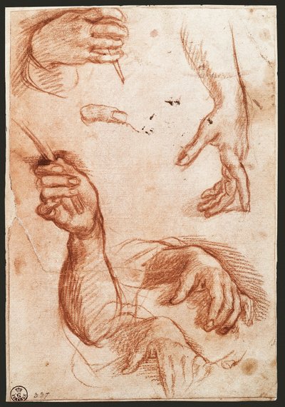 Study of hands by Andrea del Sarto