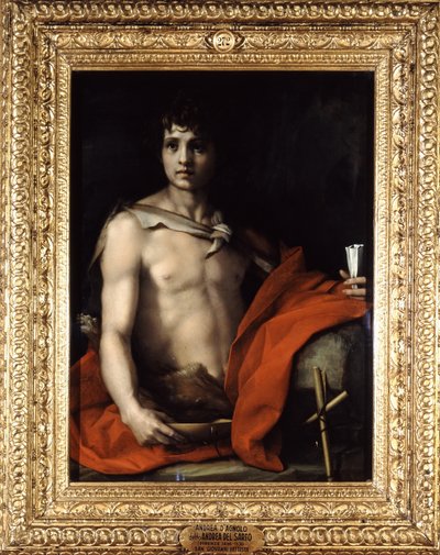 Unknown Image by Andrea del Sarto